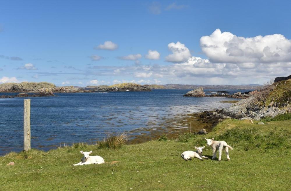 Culkein Lodge Drumbeg Zewnętrze zdjęcie
